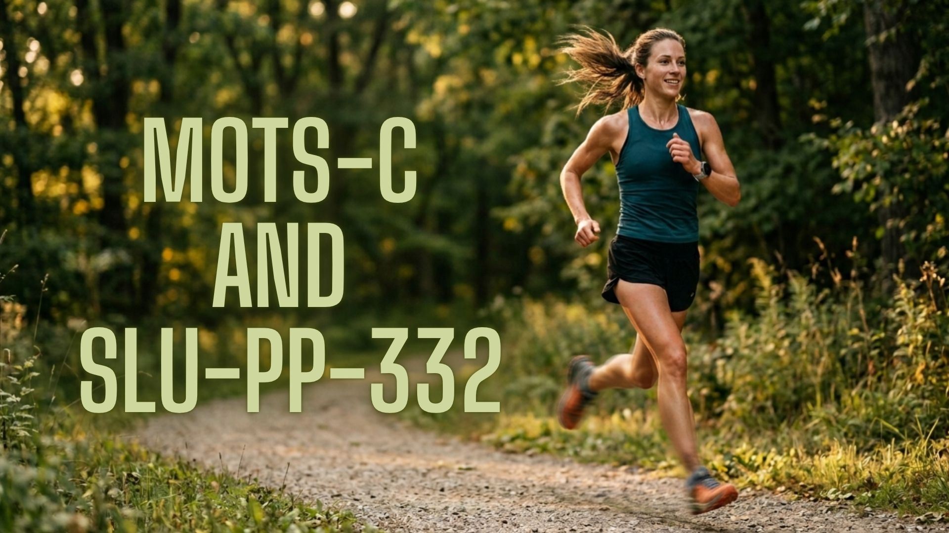 What is SLU-PP-332 peptide and AMPK pathway overview